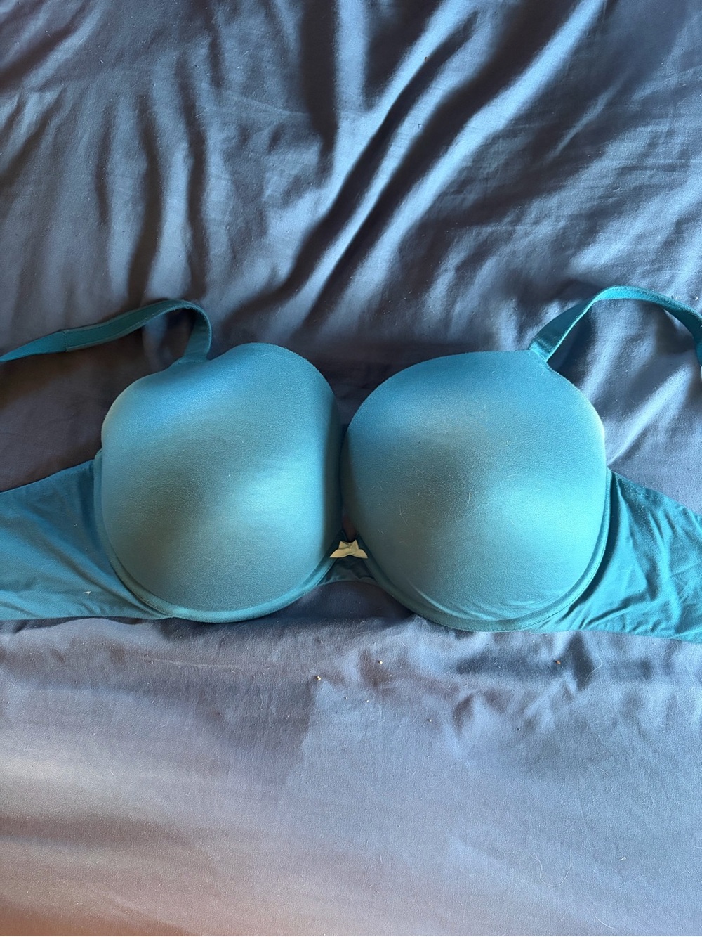 torrid Teal T-Shirt Push-Up Bra